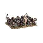 WARRIORS OF CHAOS: CHAOS MARAUDERS