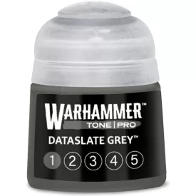 DATASLATE GREY 1
