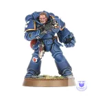 Sturm-Intercessoren