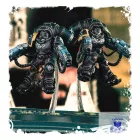 Primaris Inceptors