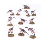 TYRANIDS BATTLEFORCE: TYRANID SWARM