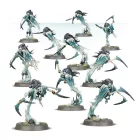 SPEARHEAD: CURSED SHACKLEHORDE