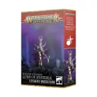 HEDONITES OF SLAANESH: LORD OF HYSTERIA