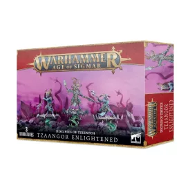 Tzaangor Enlightened
