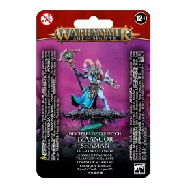 Tzaangor Shaman