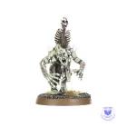 Flesh-Eater Courts Crypt Ghouls / Crypt Ghast Courtier