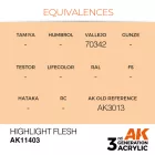 Figure Series - Highlight Flesh