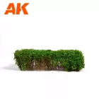 SHRUBS & BUSHES - SPRING GREEN SHRUBBERIES