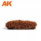 SHRUBS & BUSHES - AUTUMN BROWN SHRUBBERIES