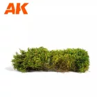SHRUBS & BUSHES - BLOMMING YELLOW SHRUBBERIES