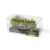 Shrubs & Bushes - LIGHT GREEN BUSHES 4-6CM