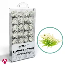 WHITE FLOWERS
