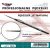 Brush - Natural Size 0