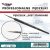 Brush - Standard Size 000
