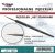 Brush - Standard Size 00
