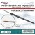 Brush - Standard Size 4