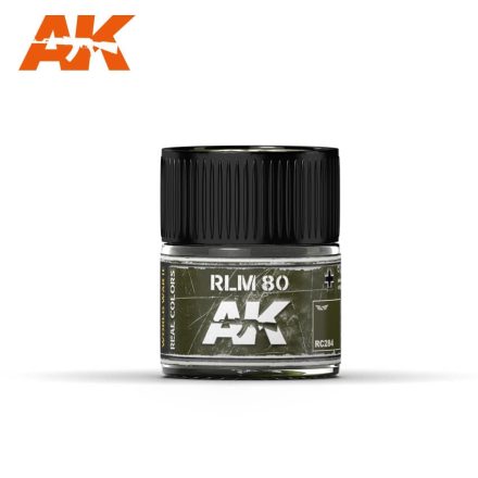 Real Color Paint - RLM 80